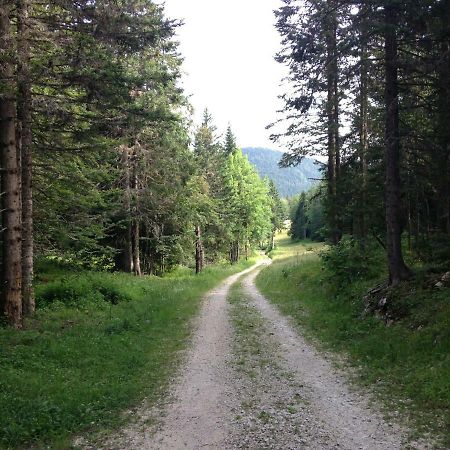 Апартаменты Beau Site Виллар-де-Ланс Экстерьер фото